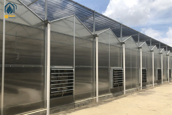 Good price Twin Wall Polycarbonate Greenhouse Smart Cultivation Automated Hydroponic Greenhouse online