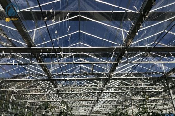 Harga bagus Glass Customized Greenhouse Komersial Sayuran Bunga Benih Greenhouse Untuk Pertanian on line
