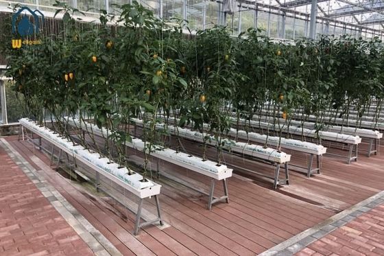 Giá tốt Hệ thống hầm trồng thủy sản loại U trực tuyến