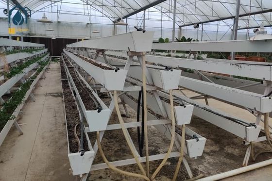Buen precio Sistemas de alcantarillado de fresas para la agricultura Alcantarillado hidropónico de PVC Moderno en línea