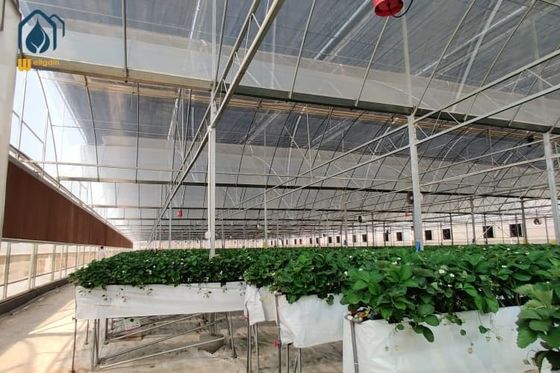 Good price Hydroponic PVC Growing Trough Large Strawberry Gutter System online