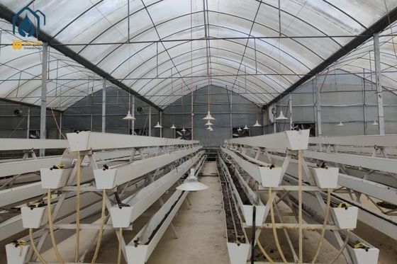 Harga bagus NFT Strawberry Growing Troughs Sistem Pertanian Hidroponik Vertikal Putih on line