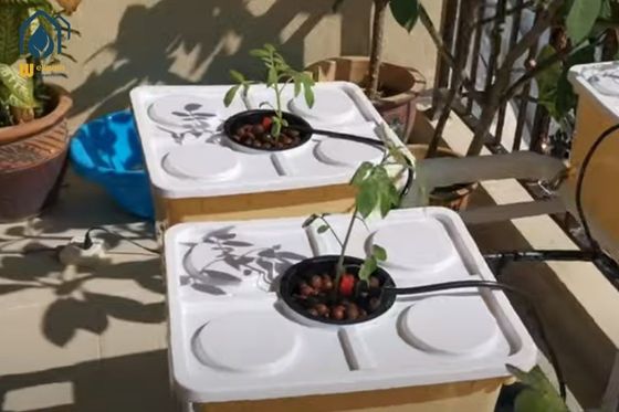 İyi bir fiyat. 11L Domates Dutch Bucket PP Dutch Bucket Hydroponic System Sebze yetiştirme için çevrimiçi