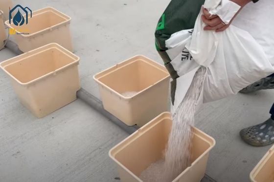 سعر جيد PP هيدروبونيك هولندي دلو 2 جالون - 5 جالون دلو نظام هيدروبونيك للزراعة الخضار الانترنت