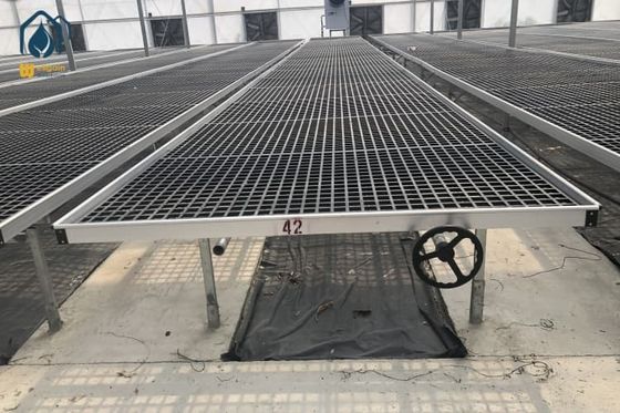 Giá tốt Thang trồng hoa phong lan nhựa ngoài trời / trong nhà Thang trồng cây cho cây trồng trực tuyến