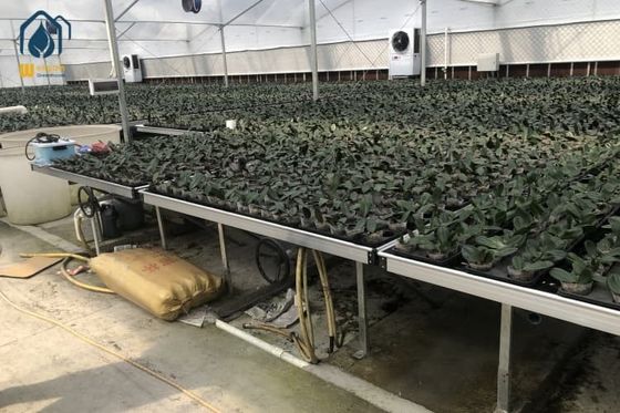 İyi bir fiyat. Mobil Plastik Tohum Tesisi Tarım Tohum Bakım Tesisi Tohum Ekmek İçin UV Direncili çevrimiçi