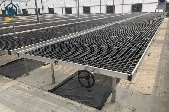 Buen precio Envases de plástico para el cultivo de plantas agrícolas Envases móviles para el cultivo de plantas resistentes a los rayos UV en línea