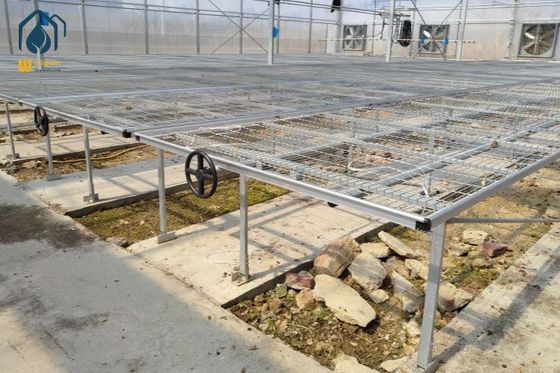 Good price Customized Greenhouse Rolling Benches Adjustable Rolling Grow Room Tables Agricultural online