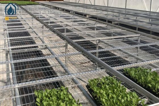 Harga bagus Meja Tumbuh Gulir Lembaran Baja Galvanis Meja Tumbuh Tanaman Dalam Ruangan Dengan Rangka Paduan Aluminium on line