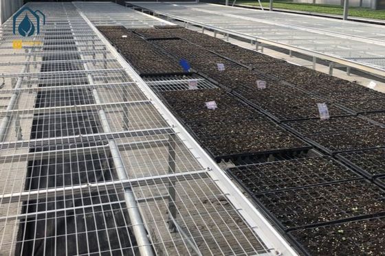 Bon prix Bancs roulants légers en serre en treillis galvanisés en ligne