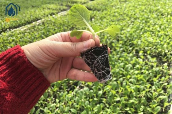 Harga bagus Bangku Pembibitan Tanaman Bergerak Pertanian Meja Tumbuh Bergulir Persegi Panjang on line