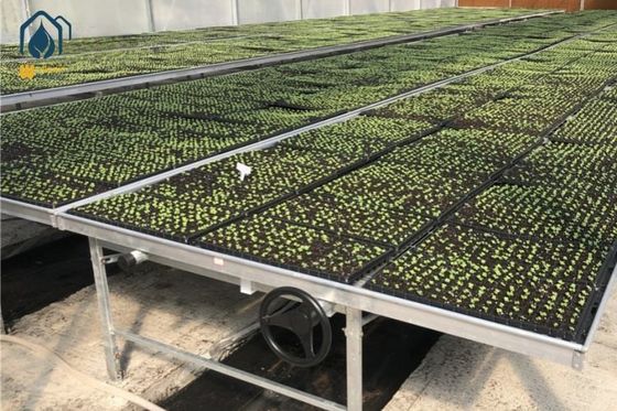 Good price Agricultural Greenhouse Rolling Benches Indoor / Outdoor Greenhouse Rolling Tables online