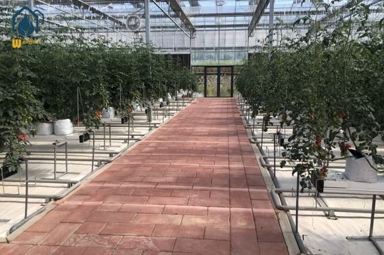 Buen precio Sistema de plantación de canaletas de acero de alta resistencia con revestimiento de PVDF resistente a la corrosión para invernaderos comerciales en línea